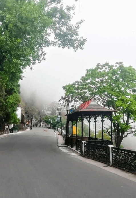 about apna tour & travel